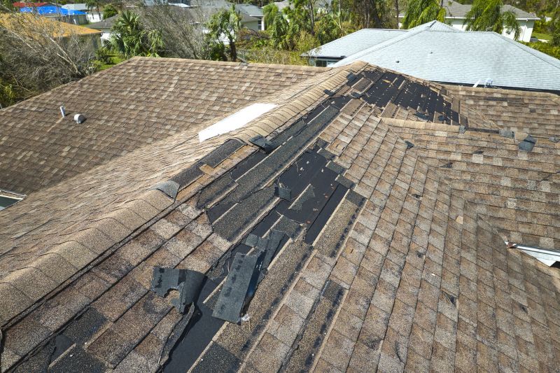 Roof Repair Project