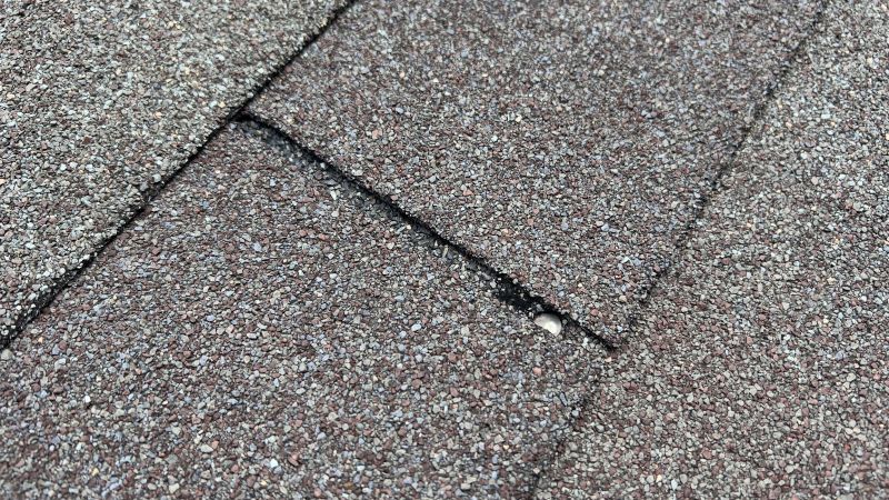 What To Expect During A Professional Asphalt Shingle Roof Repair