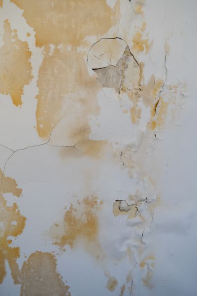 Bedroom Moisture Damage Repair